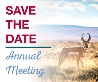 2025 Annual Meeting